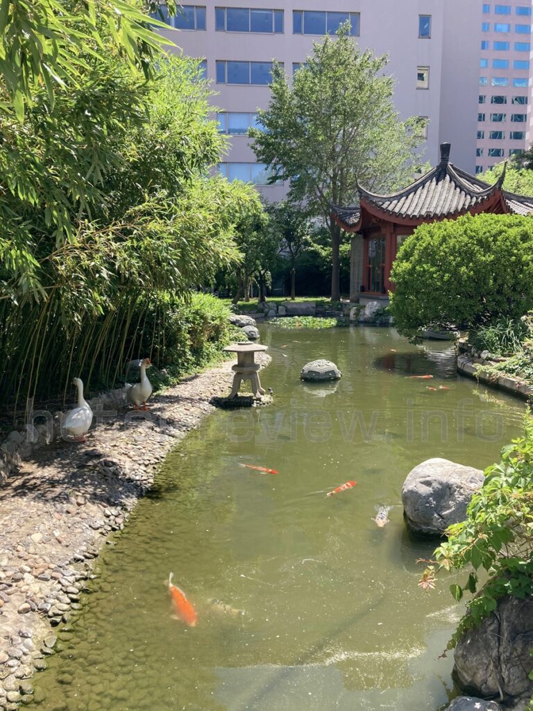 ホテルニューオータニ長富宮の日本庭園